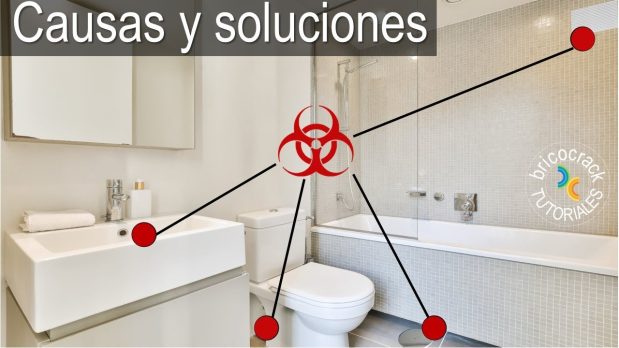 Malos olores persistentes en el desagüe del baño: soluciones efectivas en Málaga