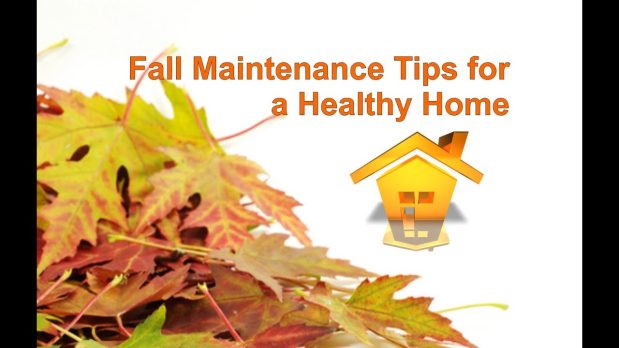 Revisión preventiva de bajantes interiores para evitar atascos en Málaga