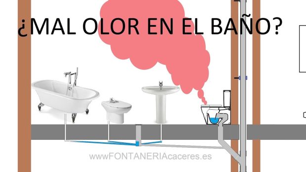 Análisis de ruidos y gorgoteos en desagües para solucionar problemas en Málaga